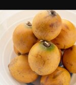 Screenshot_20260225-233011.jpg Screenshot_20260225-233011.jpg