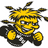 Wichita State Shockers