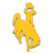 Wyoming Cowboys