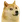 :DOGE: